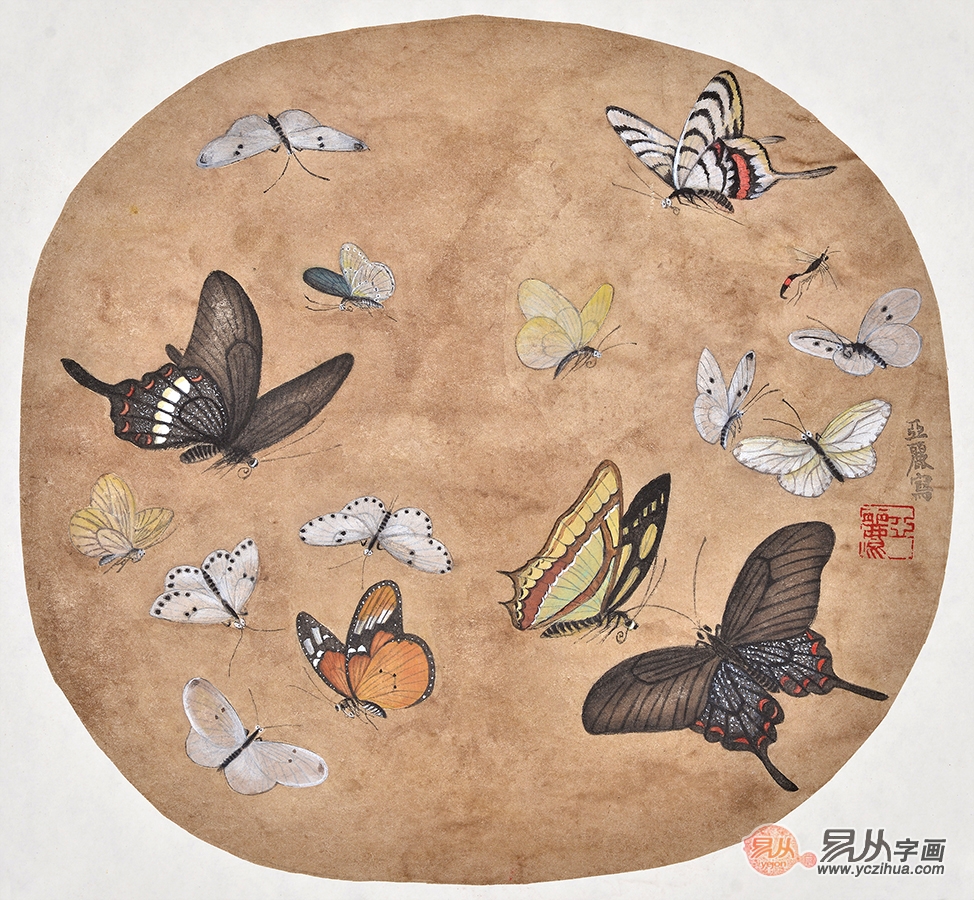 张亚丽小尺寸花鸟画托片国画蝴蝶《繁华图》-【易从网】