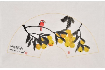张金凤不规则写意花鸟画枇杷图《金果飘香》