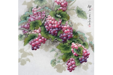 旺家运 兴人丁 羽墨斗方多子多福葡萄图《紫玉》