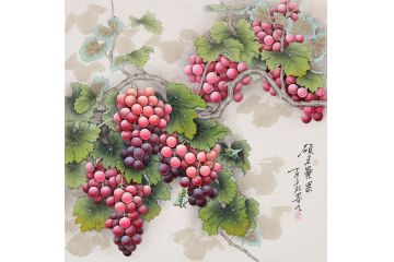 羽墨最新斗方多子多福葡萄图《硕果累累》