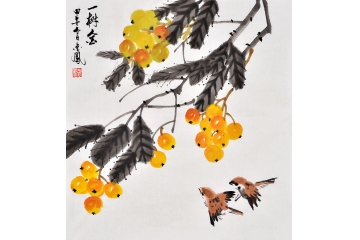 枇杷图  张金凤写意花鸟画作品《一树金》