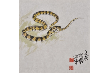 王文强动物画作品十二生肖之《蛇》