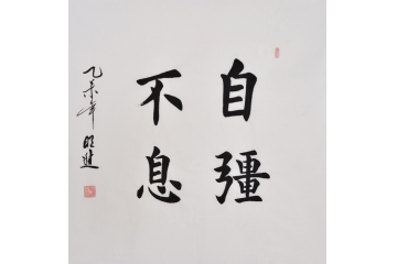 沈明进楷书书法作品欣赏 《自强不息》书房书法字画 