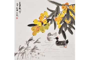 张金凤写意花鸟画枇杷图《金果飘香》