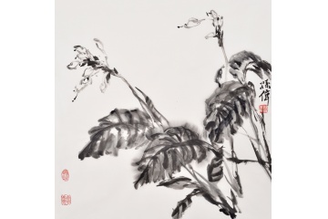 孙伟斗方写意花鸟画《美人蕉》