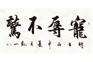 《菜根谭》名言 国宾礼书法家观山书法《宠辱不惊》