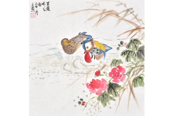 张金凤斗方写意花鸟画《芙蓉娇子图》