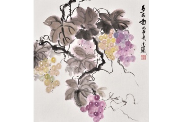 张金凤斗方花鸟画葡萄《多子图》