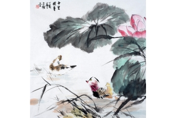 王文强写意花鸟画荷花鸳鸯图《十里飘香》