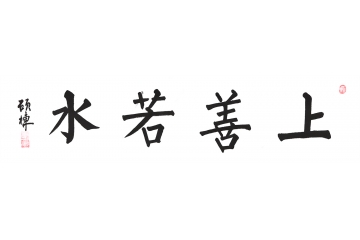 四字成语 窦硕栋楷书书法《上善若水》