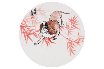 张金凤新品写意动物画国画狗作品《雨后》