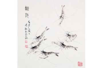 【齐派艺术品】齐白石孙媳斗方新品《虾趣》