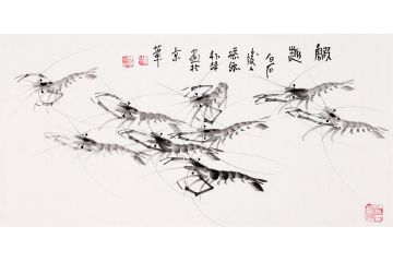 齐白石孙媳朴喆老师三尺横幅国画虾图《虾趣》