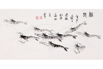 齐白石孙媳朴喆老师三尺横幅虾图作品《虾趣》