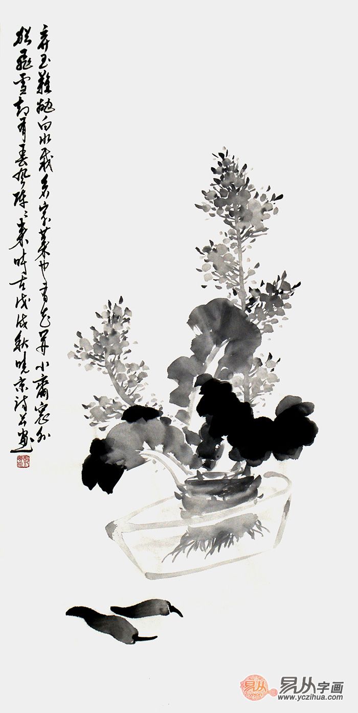 實力派畫家鄭曉京《白菜花》,花鳥畫-【易從網】