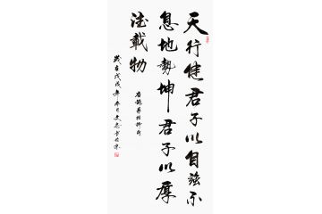 周易名言 李文志四尺竖幅书法《天行健》
