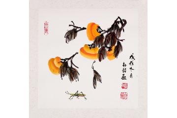 白石孙媳朴喆老师斗方花鸟画《柿子图》