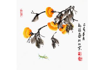白石孙媳朴喆新品斗方花鸟画《柿子图》