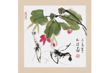 朴喆老师新品斗方虾趣图《穷款》