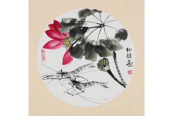 齐白石后人朴喆老师斗方虾画《穷款》