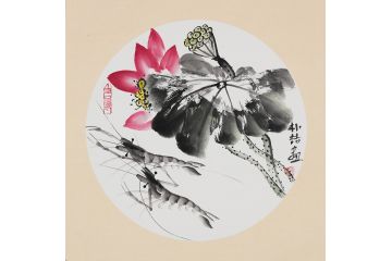 朴喆老师荷花虾趣图《穷款》