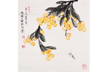 朴喆作品 写意斗方果蔬画枇杷图《穷款》