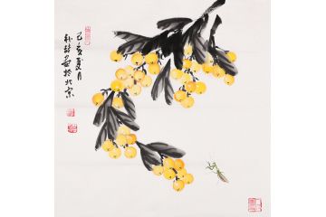 齐派艺术作品 朴喆老师写意枇杷图《穷款》
