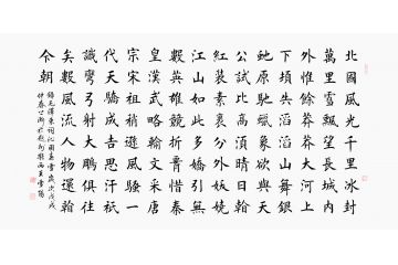 毛主席诗词 王雪阳楷书书法《沁园春雪》