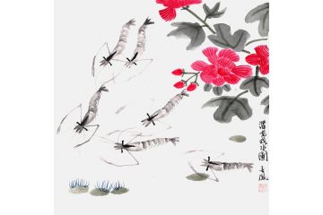 张金凤写意花鸟画 斗方河虾图《潜龙戏水图》