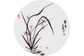 张金凤国画小品佳作《兰香》
