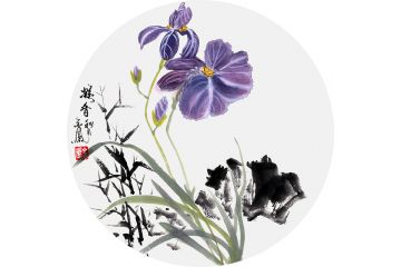 国画兰花图 张金凤精美小品花鸟画《凝香》