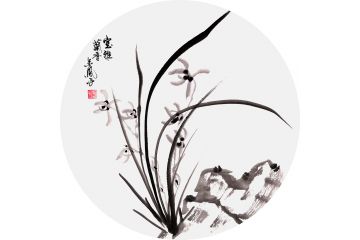 花中四君子之一 张金凤斗方花鸟画作品《室雅兰香》