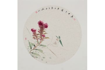 实力派画家玉婉斗方花鸟画《花中之禽》