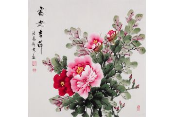 家居吉祥風水畫 希芸寫意斗方牡丹圖《富貴吉祥》