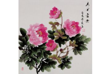 希芸写意花鸟画 斗方花鸟画新作《花开富贵》