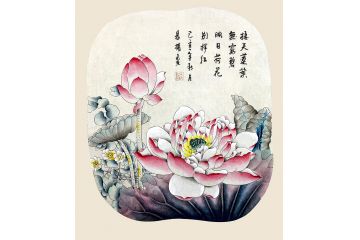 易杨老师工笔荷花佳作《接天莲叶无穷碧 映日荷花别样红》