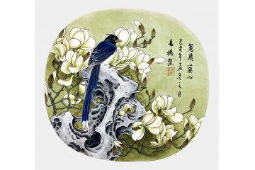 易杨花鸟画小品佳作《蕙质兰心》