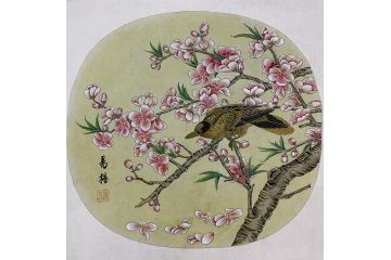花香鸟语 易杨老师诗意小品画《穷款》