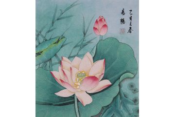 出淤泥而不染 美女画家易杨工笔荷花小品画《穷款》