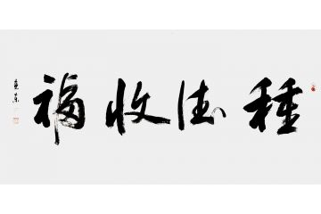 客厅挂画 杨克东四字书法《种德收福》