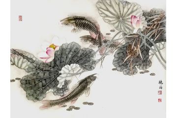 张艳丽老师工笔荷花鲤鱼图《连年有余》