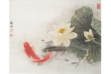 书房装饰画 张艳丽工笔花鸟画《鲤鱼戏荷》