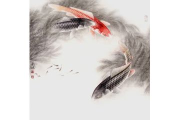 王兰波老师工笔斗方鲤鱼图《逐流弄澡》