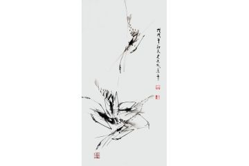 高建文国画虾竖幅新作《虾》