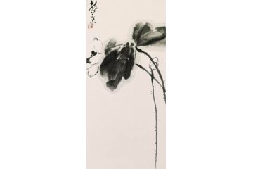 静叶老师大写意花鸟画《墨荷》