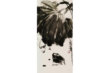 静叶老师写意荷花图《穷款》