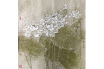 斗方花鸟画 周曼竹老师手绘荷花图《穷款》