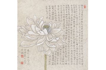周曼竹老师手绘佳作《心经白莲系列》