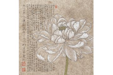 周曼竹老师斗方花鸟画《心经白莲系列》