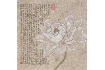周曼竹老师花鸟画《心经白莲系列》